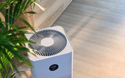 How to Improve Indoor Air Quality During Winter