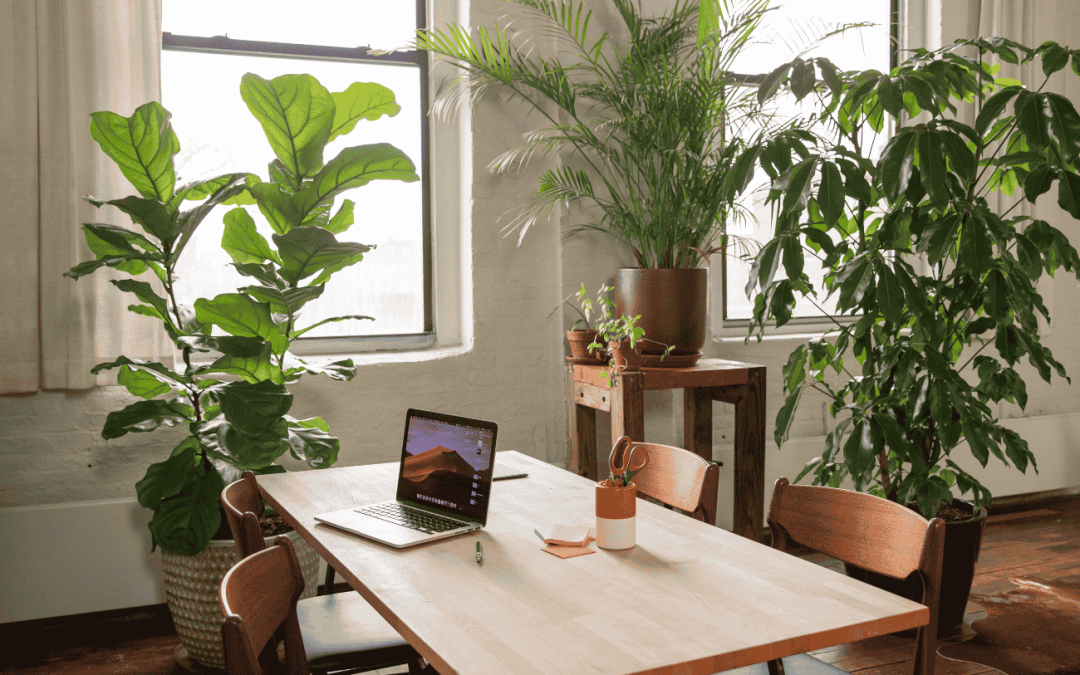 Best Ways to Improve Indoor Air Quality in Your Home
