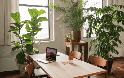 Best Ways to Improve Indoor Air Quality in Your Home