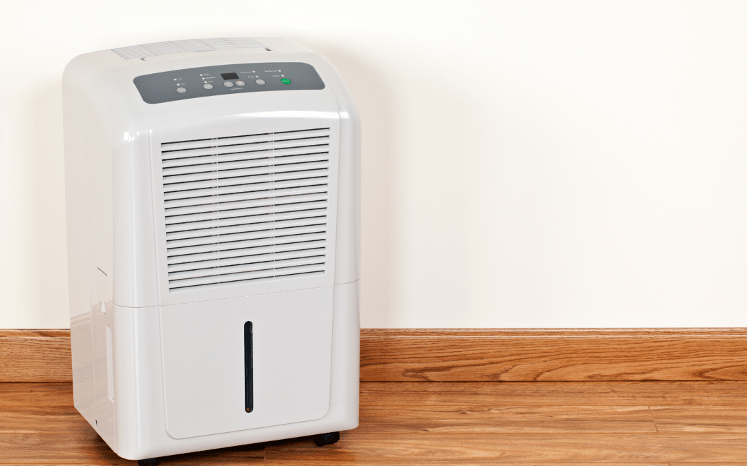 Whole-Home Dehumidifier vs. Portable Units: What’s Best for Athens, GA Homes?