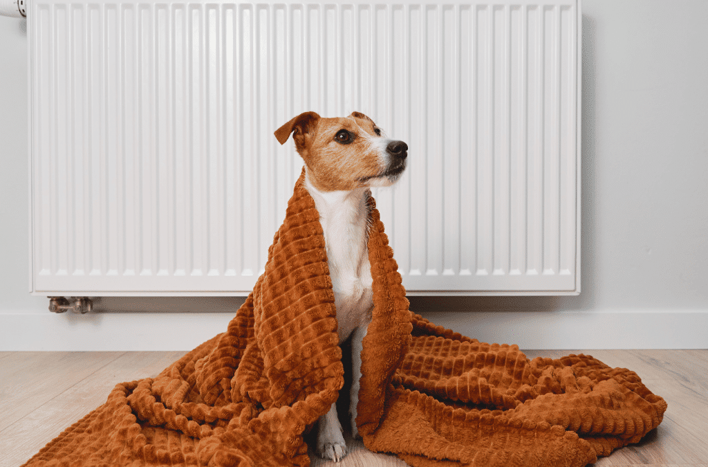 Heat Pump vs. Furnace: Which Is Best for Your Home in Athens, GA?