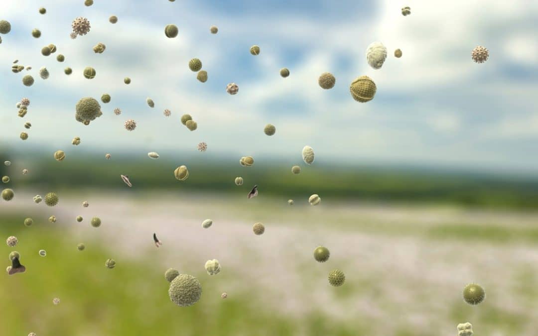 How Georgia Pollen Season Affects Your HVAC System