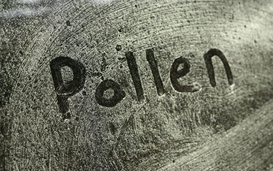 How to Keep Pollen out of Your Home and HVAC System