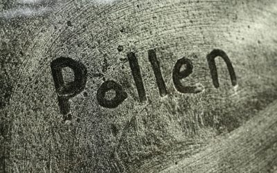 How to Keep Pollen out of Your Home and HVAC System
