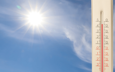 Summer Humidity in Walton County: Why Your AC is Also a Dehumidifier